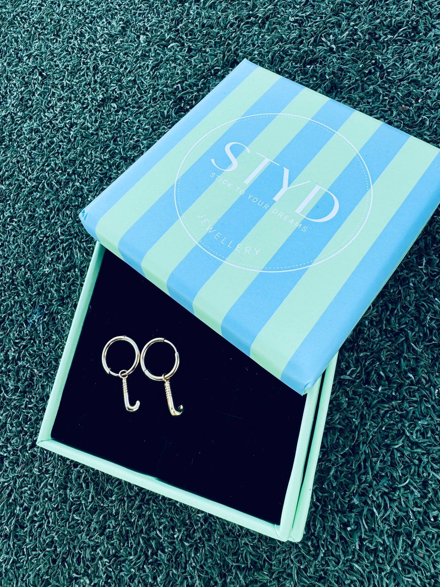 Chase Your Goals Earrings